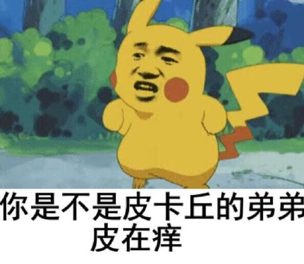 皮卡丘的皮