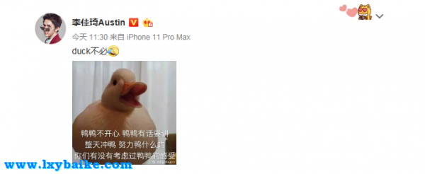 duck不必