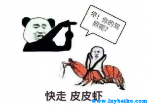 皮皮虾我们走