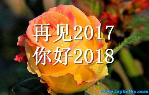 再见2017