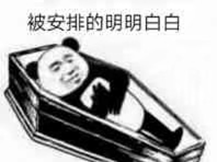 安排的明明白白